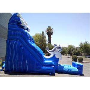 High Safety Outdoor Water Slide , Commercial Slip And Slide Dolphin Design Lead