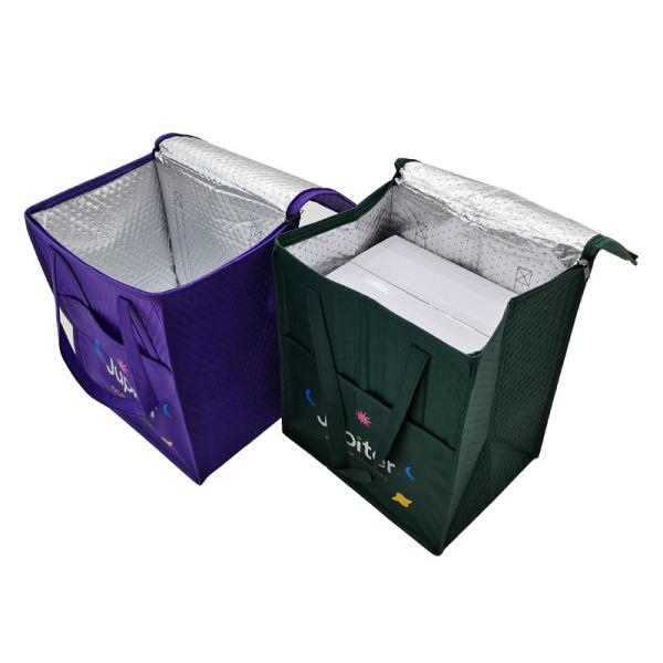 Customized Medical Cold Chain Cooler Shipping Container Bag with Temperature