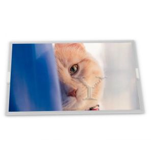 Cheap 5.7-Inch WLED TFT LCD Display Module LQ057V3DG03 with Resolution Specific Application ODM Product Category for sale