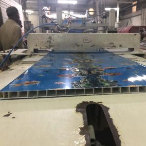 800mm WPC PVC Door Panel Production Line With Formaldehyde-Free Extrusion