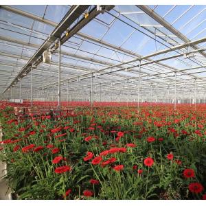 Double Layer Vegetable Planting Greenhouse with Drip Irrigation and Steel
