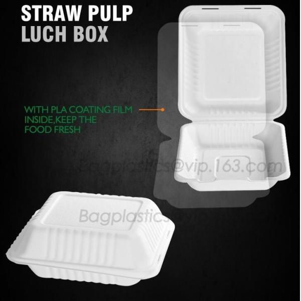 lunch box containers for restaurant, PLA Lunch Box with Lid For Kids, PLA