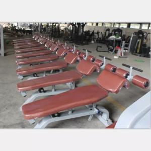 Befreeman Factory Direct Price Gym Fitness Equipment Adjustable Decline Bench