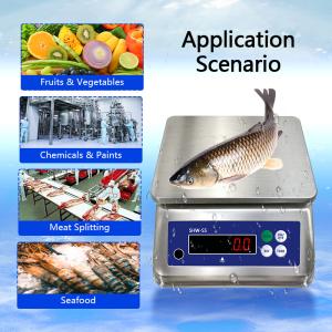 SOHE S5 3KG Stainless Steel Scale with Dual LED Display and IP68 Waterproof