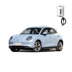 2024 Good Cat Used Electric Car with 360° Rear Camera and Automatic Air