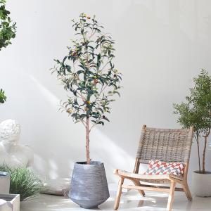 Artificial Olive Tree Indoor - Realistic Faux Olive Trees Wholesale for Home &