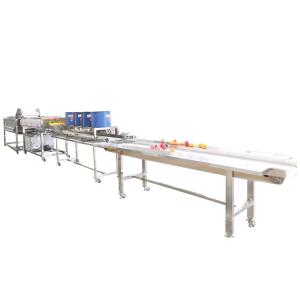 China Hot selling Fruit And Vegetable Salad Processing And Packaging Line by Huafood on sale