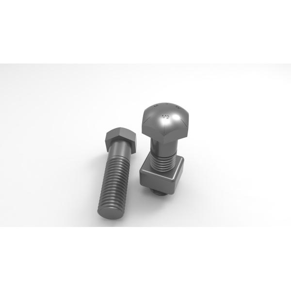 OEM Bolts and Nuts with Standard or Customized Design for Various Applications