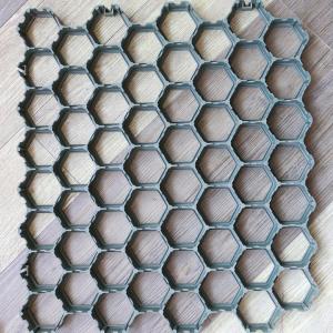 Modern Design Plastic Permeable Grid Stabilize Your Driveway for Lawn Protection