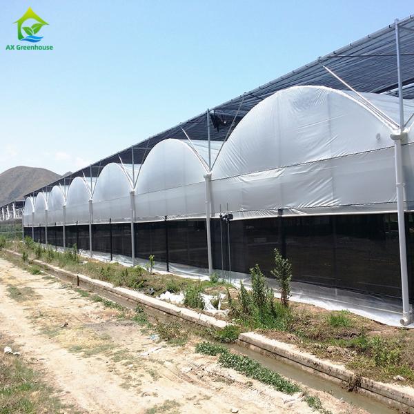 Quality Customized Size Agricultural Tropical Poly Tunnel Plastic Film Tomato Greenhouse wholesale
