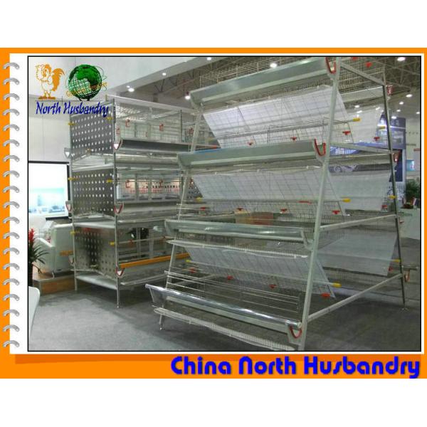 Quality Poultry Equipment, cages for laying hens, rearing cages wholesale