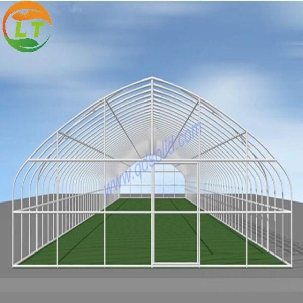 Film Covered Galvanized Greenhouse for Stable Structure and Vegetable Cultivatio