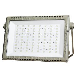 50000H Lifespan ATEX Explosion Proof LED Roadway Light 250W | CNEX Certified
