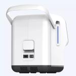 10 Liter Portable Oxygen Concentrator 220 Volt With Atomization And Timing