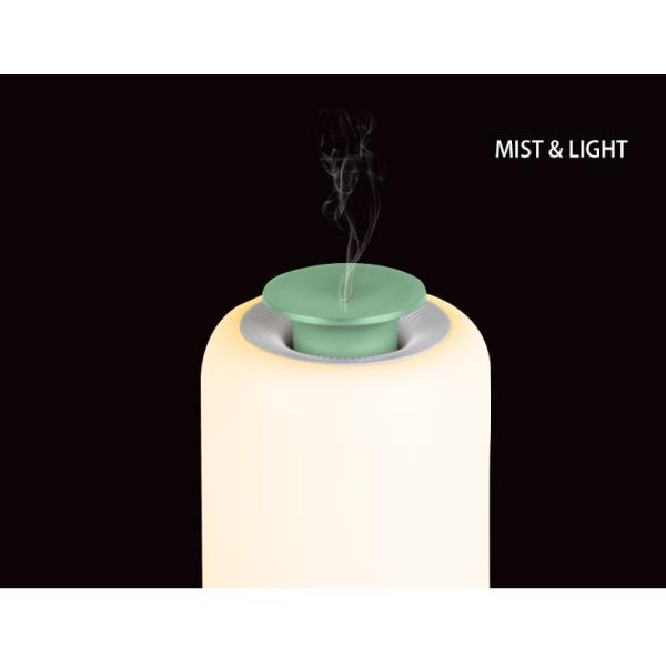 USB Plug In Car Essential Oil Diffuser Mini Portable Waterless Aromatherapy
