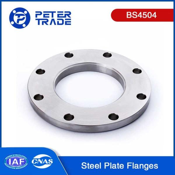 Quality BS4504 CODE101 PN2.5 Carbon Steel Plate Flange PL RF Raised Face DN10 To DN2000 for Heating Industry wholesale