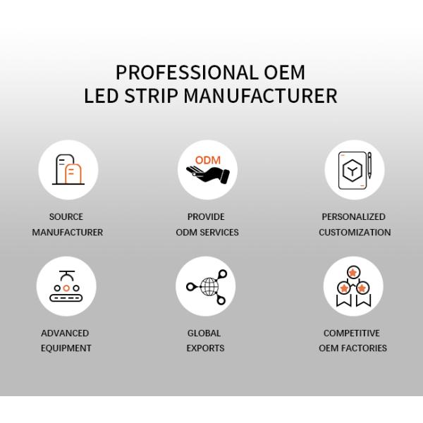 16 * 16mm IP68 Waterproof LED Neon Flex Strip Light Swimming Pool LED Neon Flex Outdoor