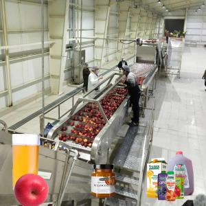 Beverage Industry Apple Juice Production Machinery 50T/D Turnkey Service