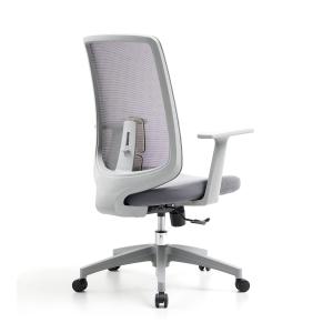 Certificate BIFMA Standard Free Shipping Executive Ergonomic Task Mesh Office