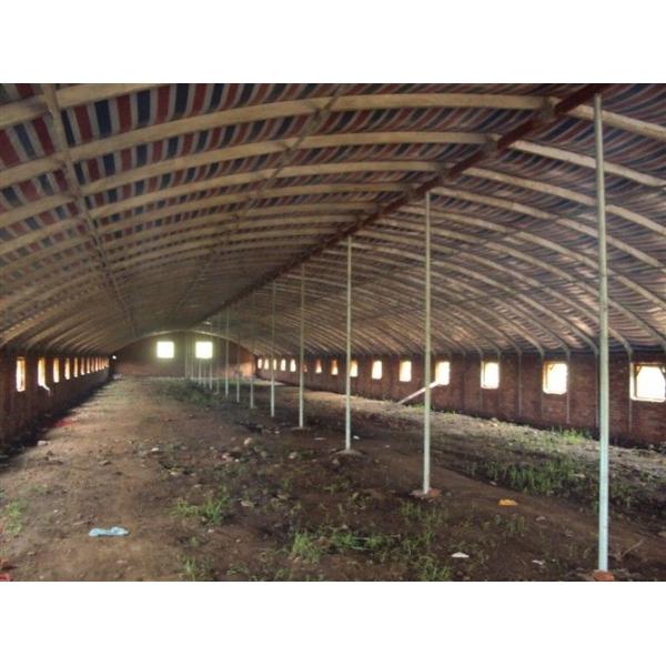Quality Reusable Qualified Safety And Utility Fabricated Steel Chicken Shed Systems wholesale