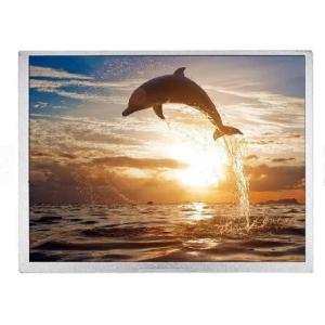 800:1 800x600 TFT LCD Modules Display Medical Apparatus Instruments