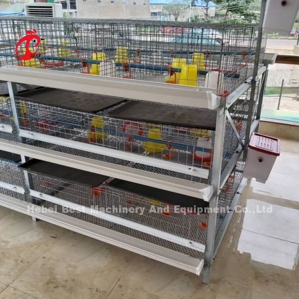 Quality A And H Type Broiler Battery Chicken Cage For 45 Days Broilers Emily wholesale