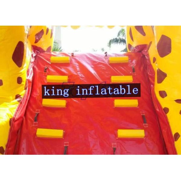 Safety Handles Carambole Inflatable Water Slide With Inground Pool For Kids