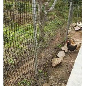 40-40kn PP Biaxial Plastic Geogrid for Road Construction and Foundation