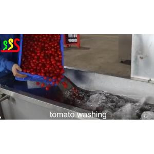 PLC Controlled Fruit Processing Machinery With 1 - 100t/H Capacity Input