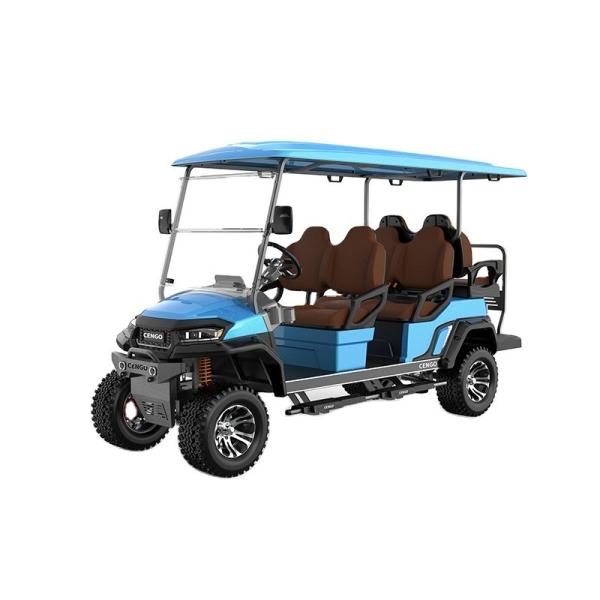 2 4 6 Seat Lifted Electric Golf Cart with DOT EEC Certification and Long-lasting