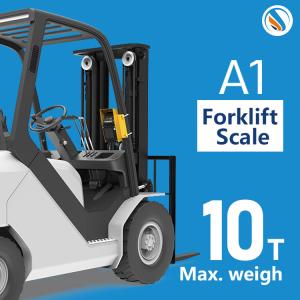 Precision Digital Forklift Scales for Industrial Working Voltage 12-24V Optional