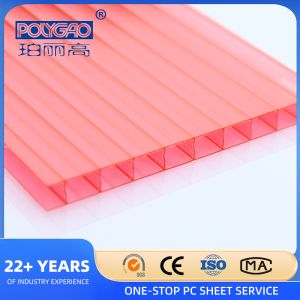 2-layer Polycarbonate Hollow Sheet with More Than 5 Years Warranty and 100%