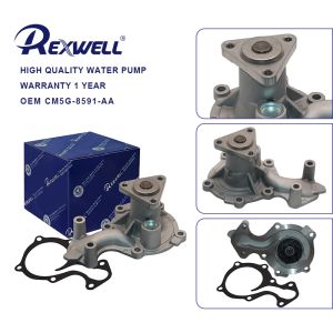 China CM5G-8591-AA EM5E-8501-AB CM5Z-8501-C 1760659 1766164 1844732 1766164SK Car Engine Coolant Water Pump for FORD 1.0T Ecosport Fiesta 2012- Focus 2012 on sale