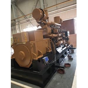 1MW Power Station Equipped with 12V190 Gas Generator and Customized Request