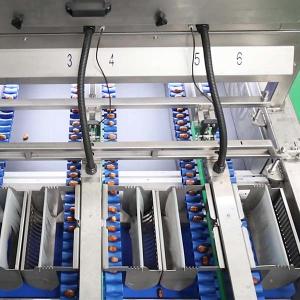 Cheap 2.0 Tons High-Capacity Defect Sorting 8-Lane Palm Dates Sorting Machine for sale