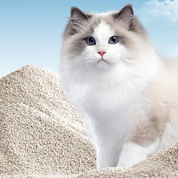 Factory Supplier Small Pellet Corn Husk Litter Flushable Strong Clumping Soya Clumps Cats 99% Dust Free Urine Odor Eliminator 1.5kg 2kg 2.5kg Cassava