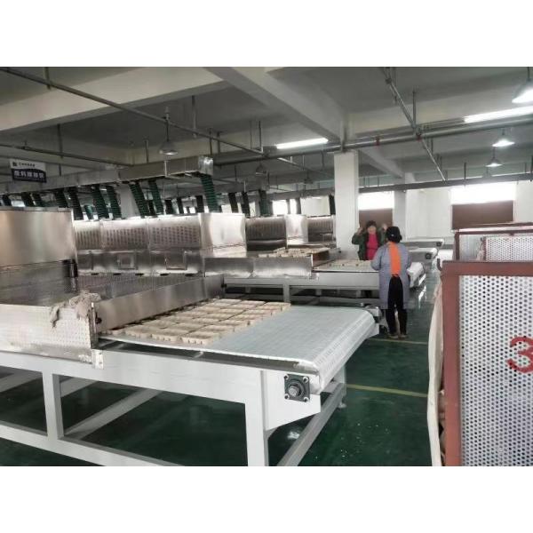 Quality Customized Stainless Steel Microwave Vacuum Drying Equipment for Optimal Performance wholesale