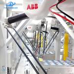 Advanced Delta Robot Bag Case Packer Machine With 60 Packets/Minute 5kg Payload