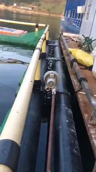 HDPE Fish Farming Cage with 50000 Ton Production Capacity and 50-Year UV