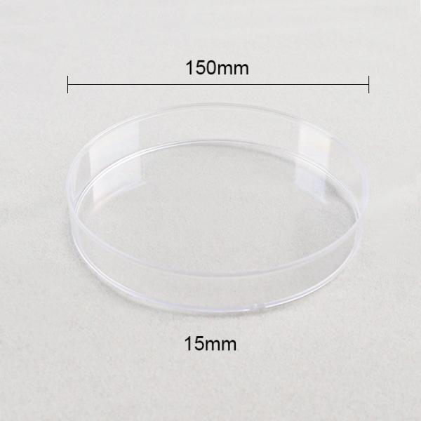 petri dish Laboratory Services 150x15mm Large Petri Dishes Culturing Cells Disposability