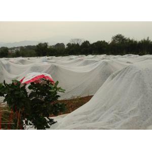 China Waterproof Agriculture Non Woven Fabric Roll 4% UV Treated Weed Control on sale