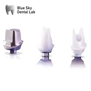 Customized Zirconia Abutment With Titanium Base Blue Sky Implant