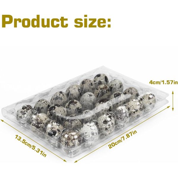 Small Plastic Egg Cartons - Clear 2 Dozen Quail Eggs Tray - Reusable Storage
