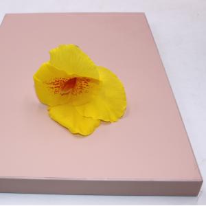 18mm Wardrobe Matte PET Laminated MDF Panels