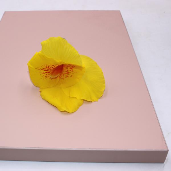 Quality 18mm Wardrobe  Matte PET Laminated MDF Panels wholesale