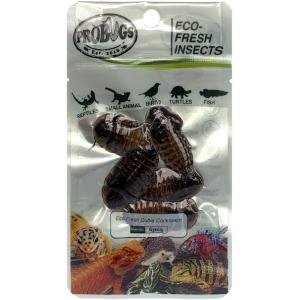 Cheap Eco-fresh Dubia Cockroach/dry insects/feed grade for sale
