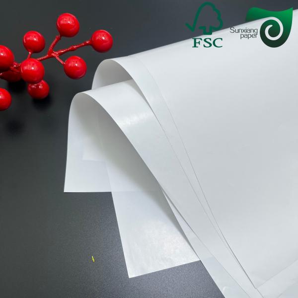 Biodegradable 160um 200um White Cardboard For Advertisement Tear Resistance