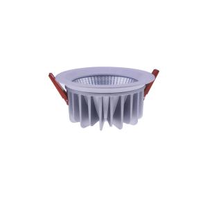 230Vac Input IP65 LED Down Lights 10 Watt 3inch 100lm/w, daylight 4000K