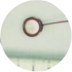 Micro Machining Medical Device Components Metal Material ISO Certification