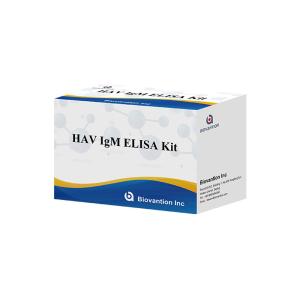China Plasma IgM 96pcs Elisa Test Kit HAV Diagnos Antibody Test Kit on sale